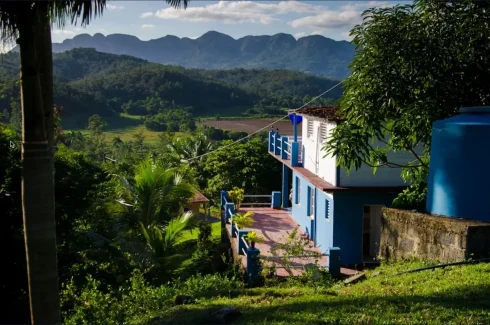 Hostal Buena Vista Viñales 1